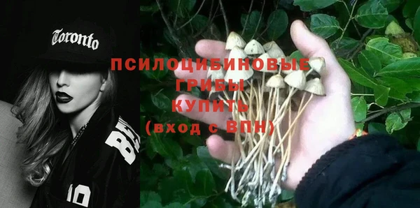 крисы Алексеевка